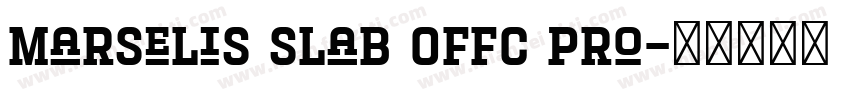 Marselis Slab Offc Pro字体转换